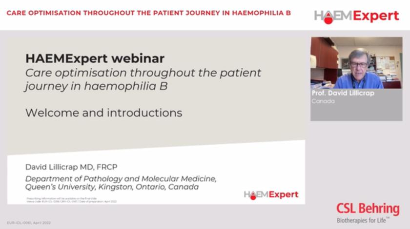 Care optimisation throughout the patient journey in haemophilia B